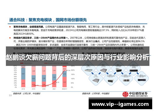 赵鹏谈欠薪问题背后的深层次原因与行业影响分析