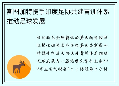 斯图加特携手印度足协共建青训体系推动足球发展