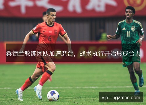 桑德兰教练团队加速磨合,战术执行开始形成合力 桑德兰教练团队加速磨合,战术执行开始形成合力